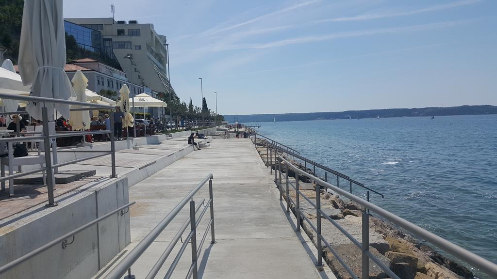 Apartma Penthouse Alma Vivoda *